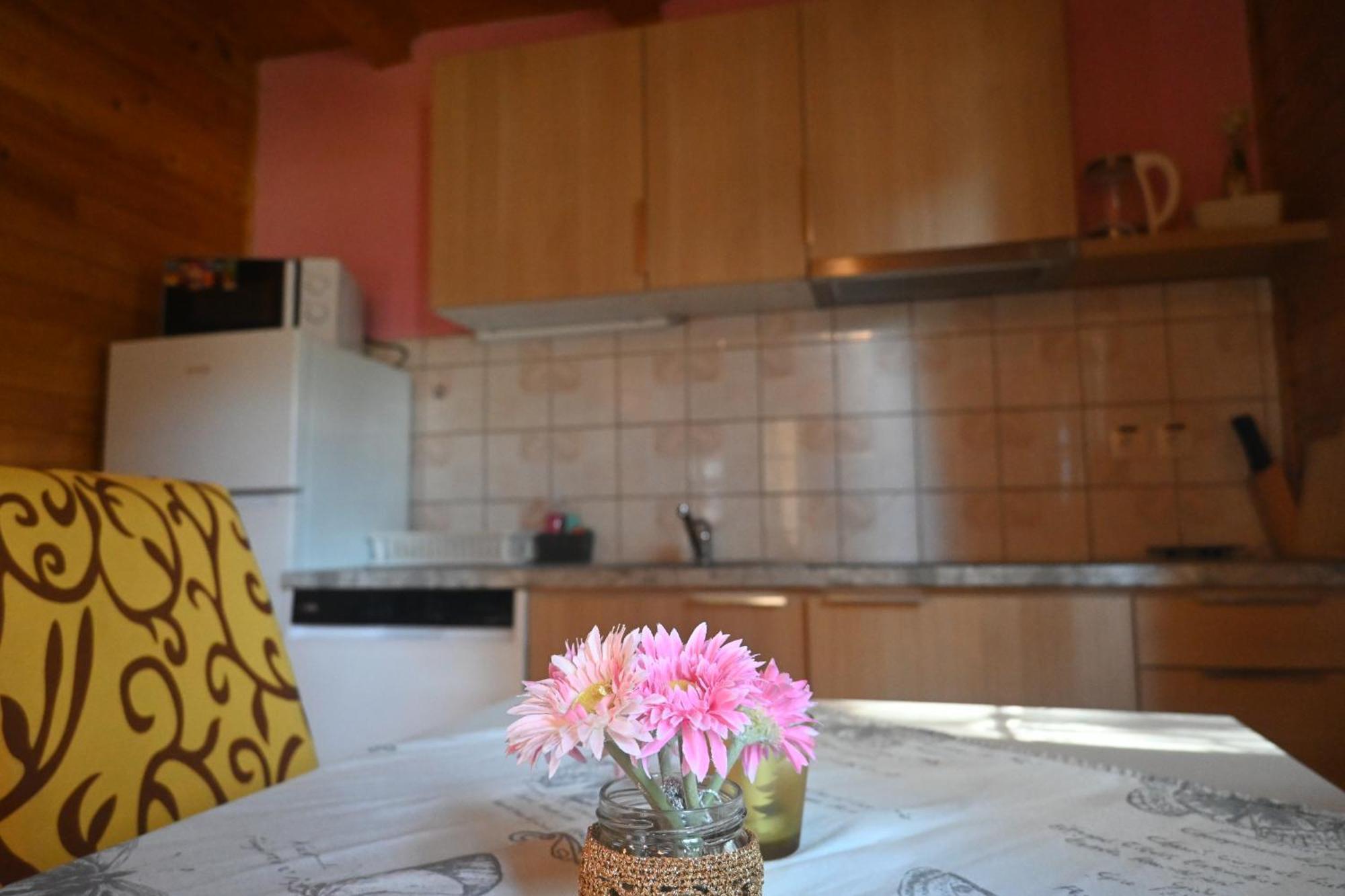 Apartments Brunarica Moravske-Toplice Εξωτερικό φωτογραφία